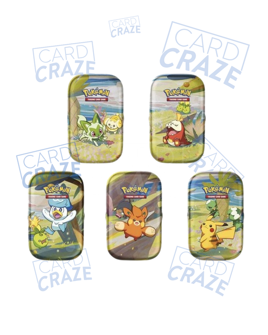 Amici di Paldea | Mini Tin | ITA